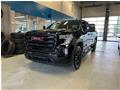 2020 GMC Sierra 1500 4WD Double Cab  ELEVATION **GROUPE NHT** for sale 2020
GMC
Sierra 1500 4WD Double Cab  ELEVATION **GROUPE NHT**