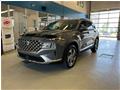 2021 Hyundai Santa Fe AWD 2.5L PREFERRED TREND **TOIT PANORAMIQUE** for sale 2021
Hyundai
Santa Fe AWD 2.5L PREFERRED TREND **TOIT PANORAMIQUE**