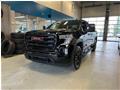 GMC
Sierra 1500 4WD Double Cab  ELEVATION **GROUPE NHT**
2020